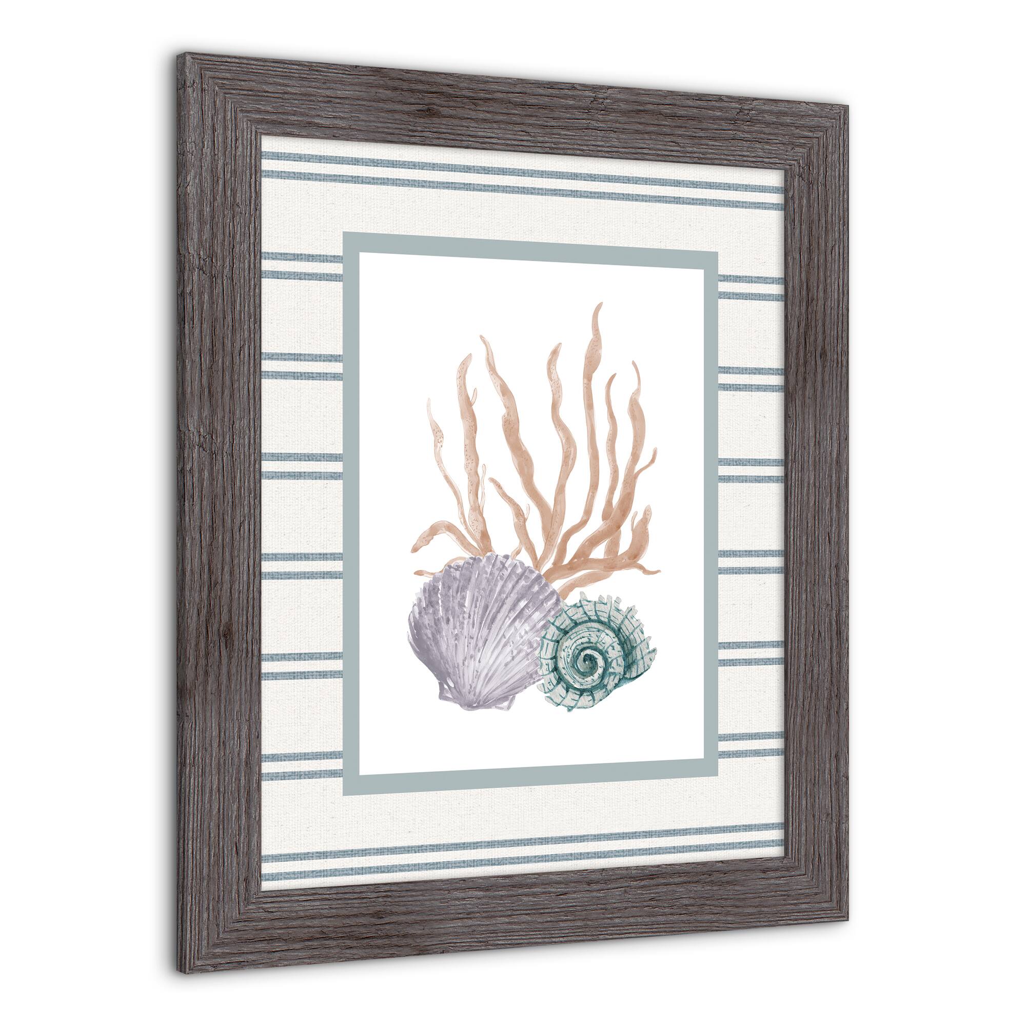 Scallop & Snail Shell Western Framed Print